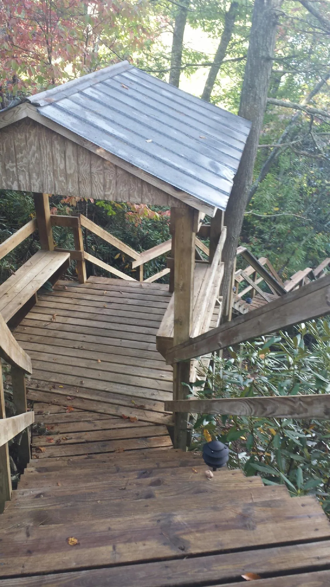 Metal roofed shelter over wooden steps on a wooded walkway — Skylight Repair & Installation work by our crew in Cornelius