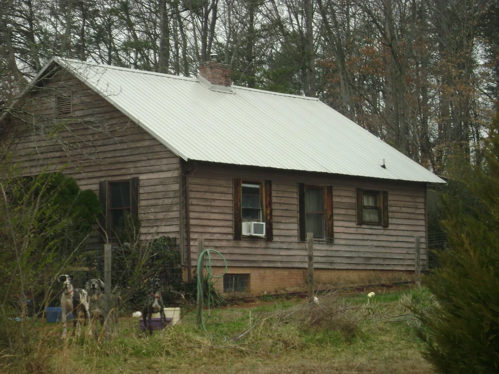White metal roof on an old wood sided farmhouse, from a Metal Roof Installation job in Cornelius